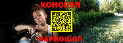 крисы Волгодонск