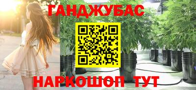крисы Волгодонск