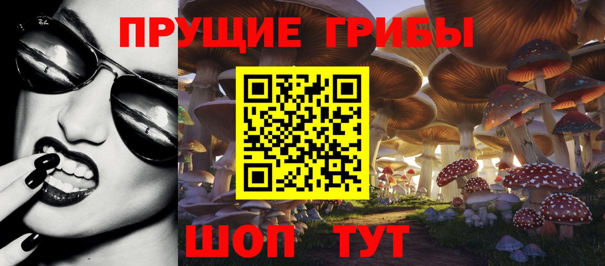 Псилоцибиновые грибы GOLDEN TEACHER  Вход с VPN  Жигулёвск 